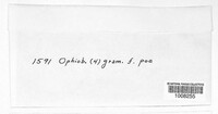 Image Associated With the Occurence